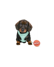 PEITORAL COM TRELA SOFT PARA CACHORRO JUNIOR (MENTA)