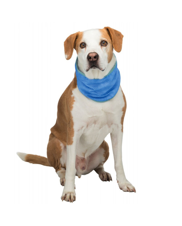 LENÇO DE ARREFECIMENTO EM PVA PARA CÃES L - 38-52 CM