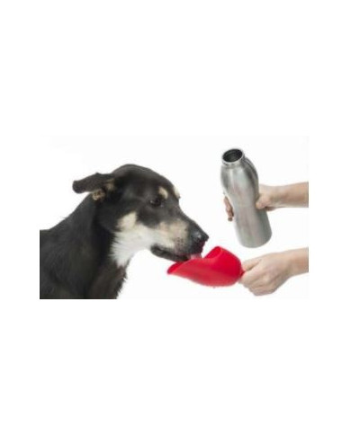 KONG H20 Garrafa Aço Inoxidável  Laranja 740 ml