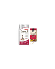 Ração Cão PICART SELECT SUPER PREMIUM CÃO ADULTO MÉDIO FRANGO 500gr