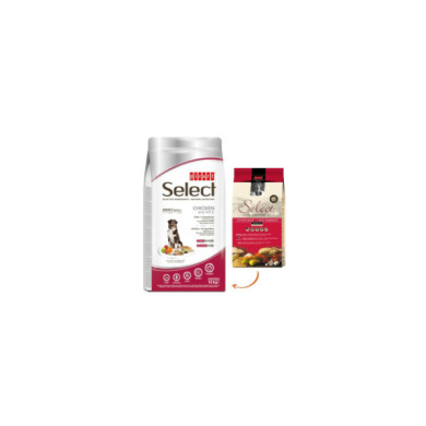 Ração Cão PICART SELECT SUPER PREMIUM CÃO ADULTO MÉDIO FRANGO 500gr