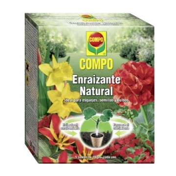 copy of COMPO Solução...