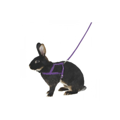 Peitoral + Trela Para Coelhos L