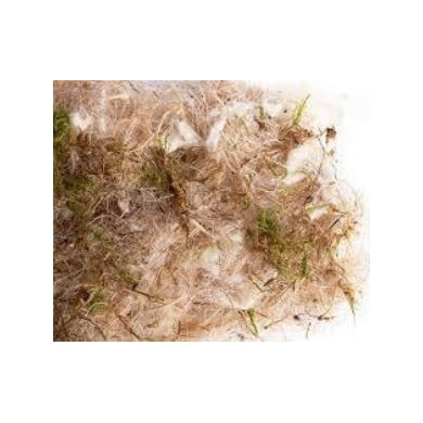 SISAL 100G