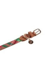 Coleira Para Cães House Of Pets Menta XS