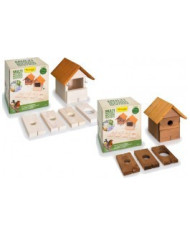 Casa Madeira - Multi Nest Wildbirds