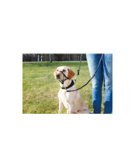 Trixie Açaime Treino Top Trainer L 50-57cm / 31cm