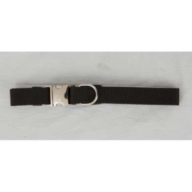 Coleira Nylon Fivela Metal 20mm