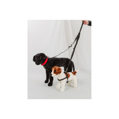 Trela Nylon Dupla Regulável 25mm