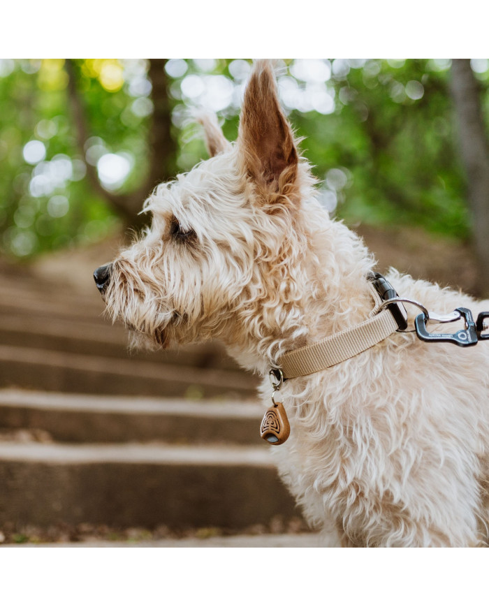 Tickless Repelente ultrasónico Eco Pet