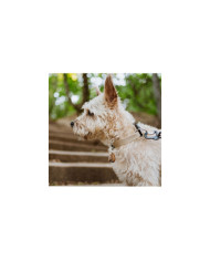 Tickless Repelente ultrasónico Eco Pet