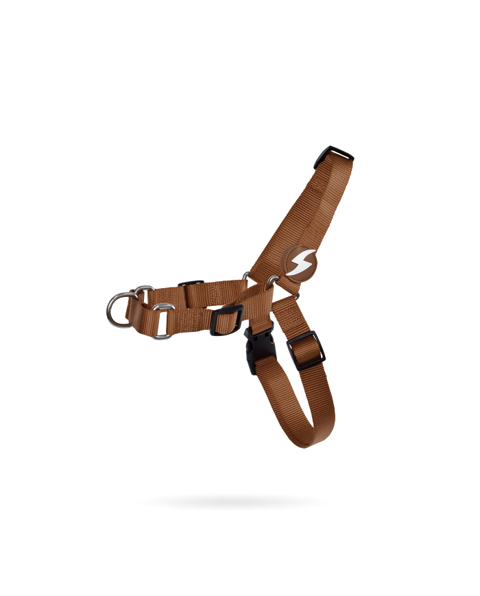 Dashi Arnês Frontal Castanho Medium