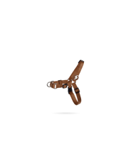 Dashi Arnês Frontal Castanho Medium