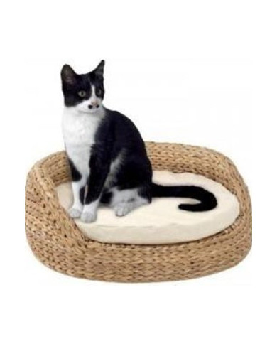 Cama Divan gato 48x22cms