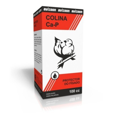 Colina Ca-P 100ml