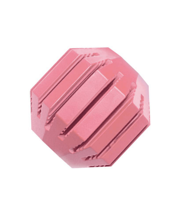 Medium Puppy KONG Activity Ball