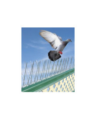 Espigoes anti pombos inox 1m