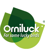 Orniluck